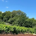 Mirta 别墅